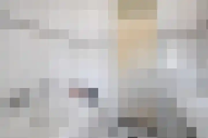 Bassano 6 Krimpen aan den IJssel thumbnail 32