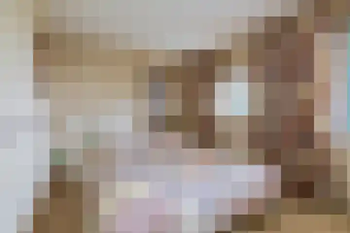 Bassano 6 Krimpen aan den IJssel thumbnail 34