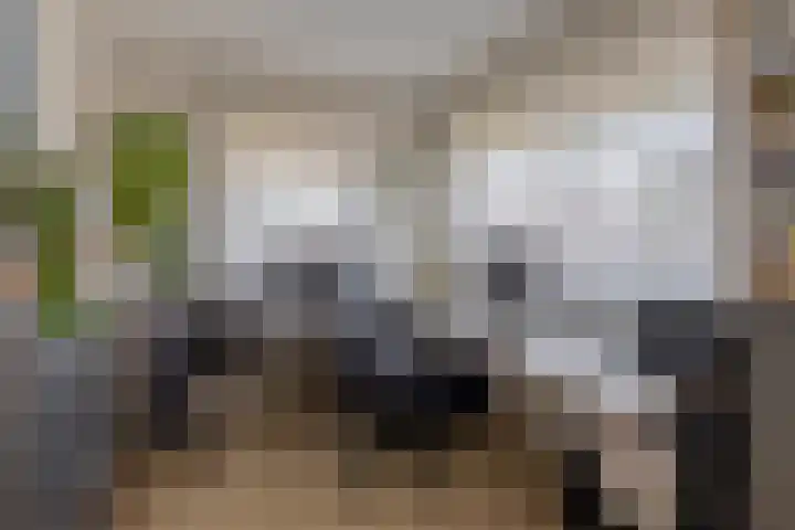 Bassano 6 Krimpen aan den IJssel thumbnail 39
