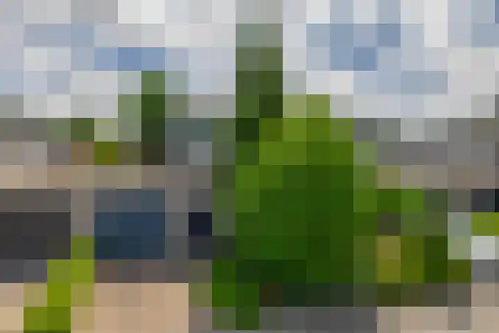 Bassano 6 Krimpen aan den IJssel thumbnail 42
