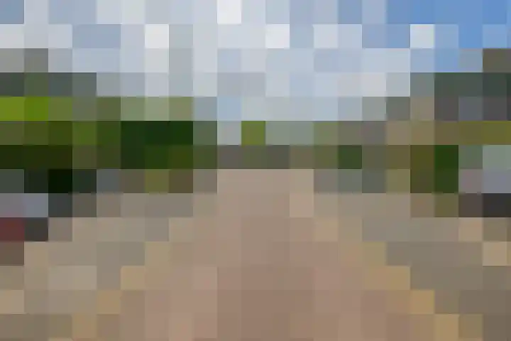 Bassano 6 Krimpen aan den IJssel thumbnail 45