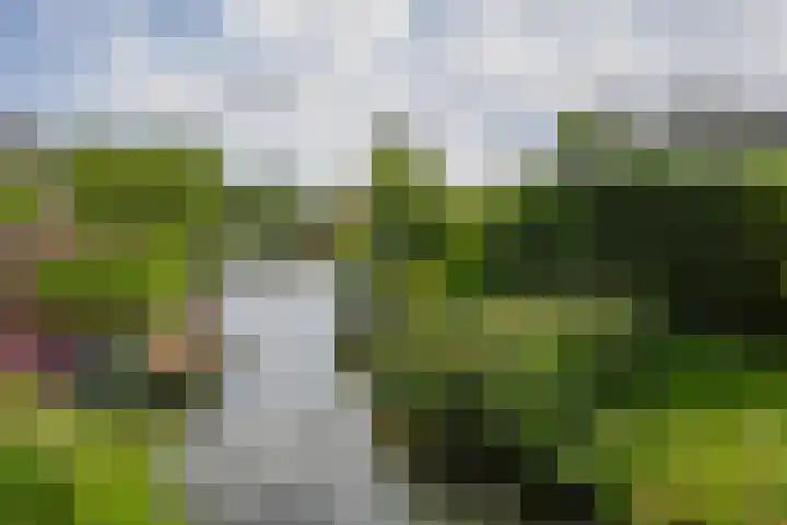 Bassano 6 Krimpen aan den IJssel thumbnail 46