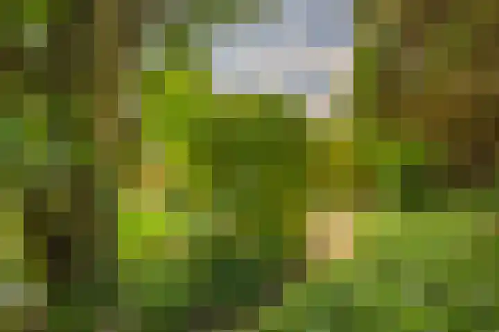 Bassano 6 Krimpen aan den IJssel thumbnail 47