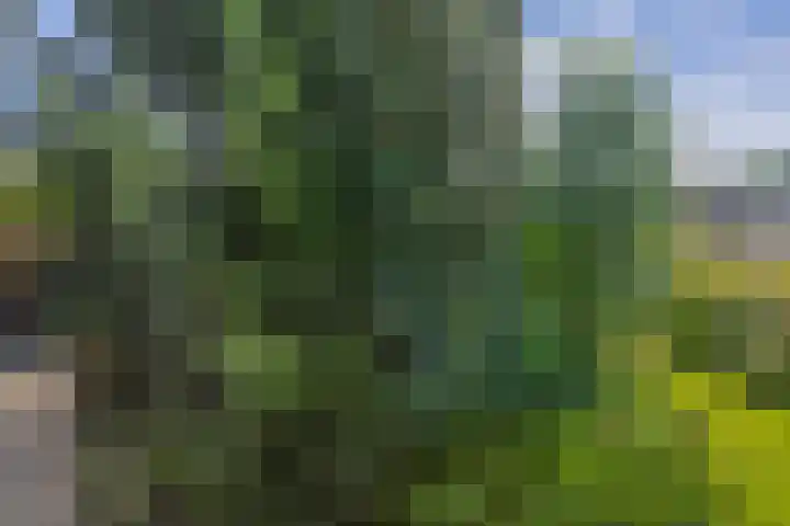Bassano 6 Krimpen aan den IJssel thumbnail 48
