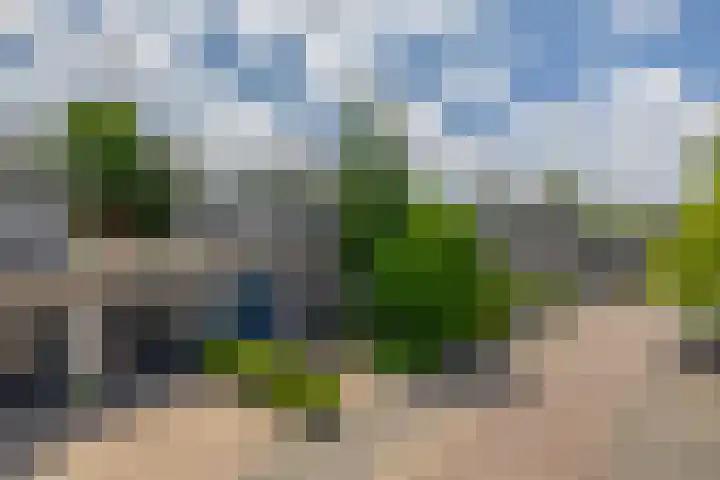 Bassano 6 Krimpen aan den IJssel thumbnail 57