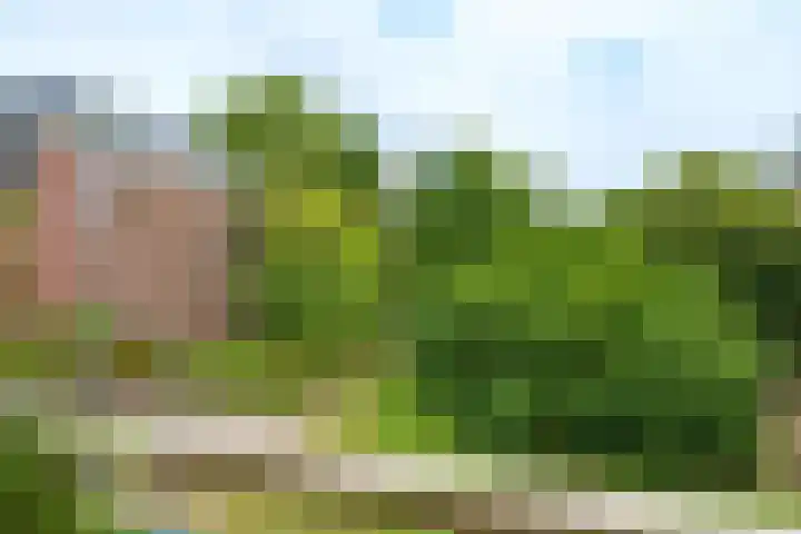 Bassecour 60 Wageningen thumbnail 23