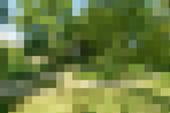 Bassecour 60 Wageningen thumbnail 26