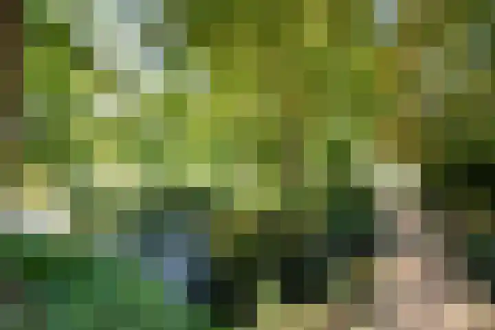 Bassecour 60 Wageningen thumbnail 27