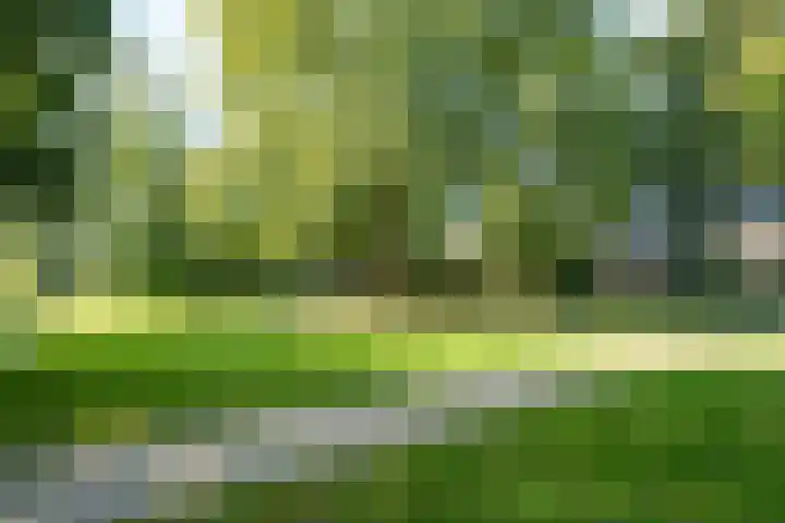 Bassecour 60 Wageningen thumbnail 28