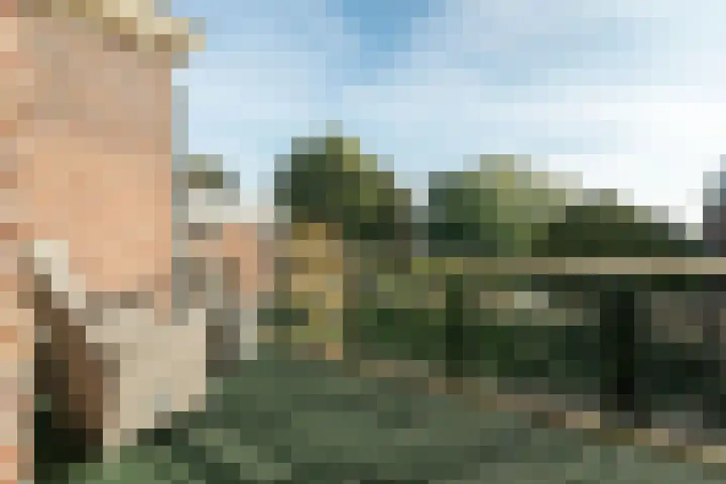 Bassecour 68 Wageningen thumbnail 25