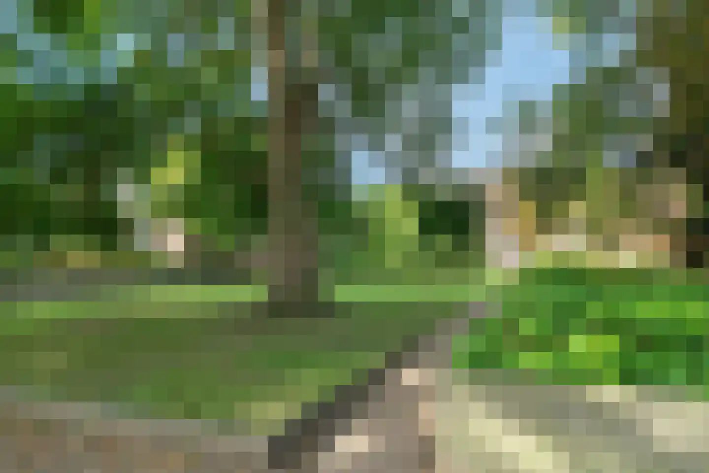 Bassecour 68 Wageningen thumbnail 33