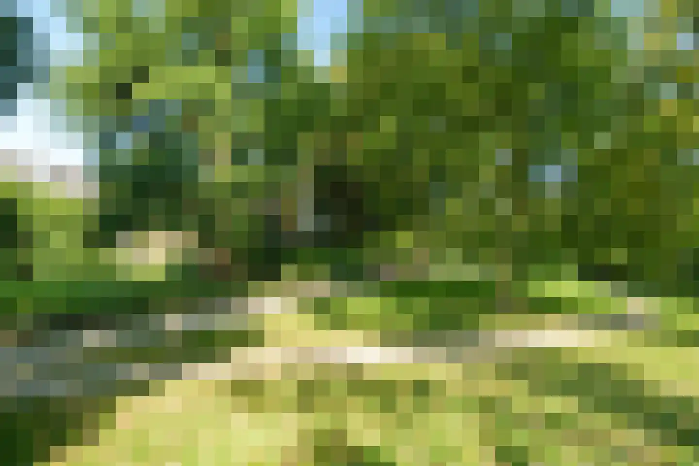 Bassecour 68 Wageningen thumbnail 35