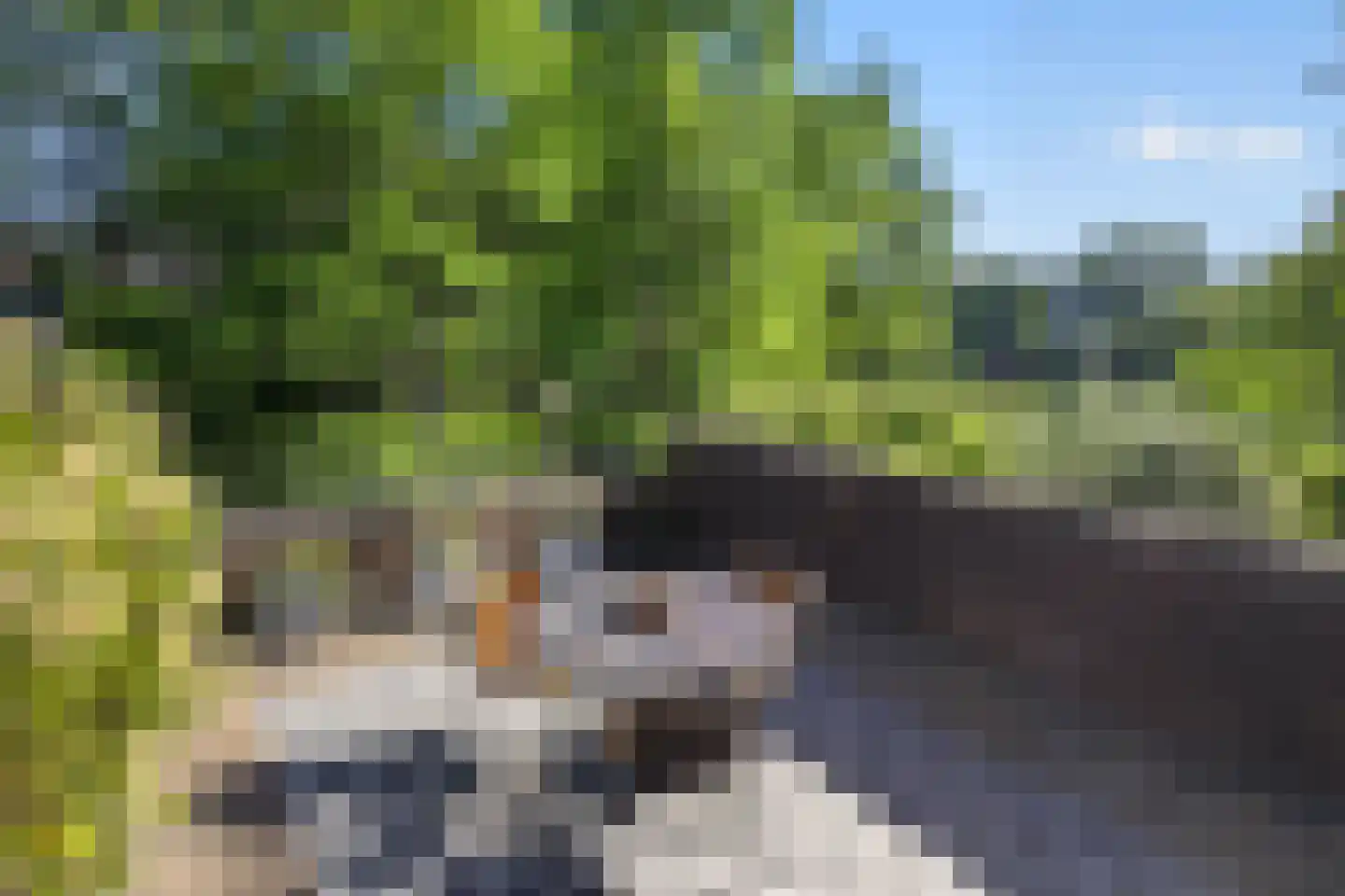 Bassecour 87 Wageningen thumbnail 43