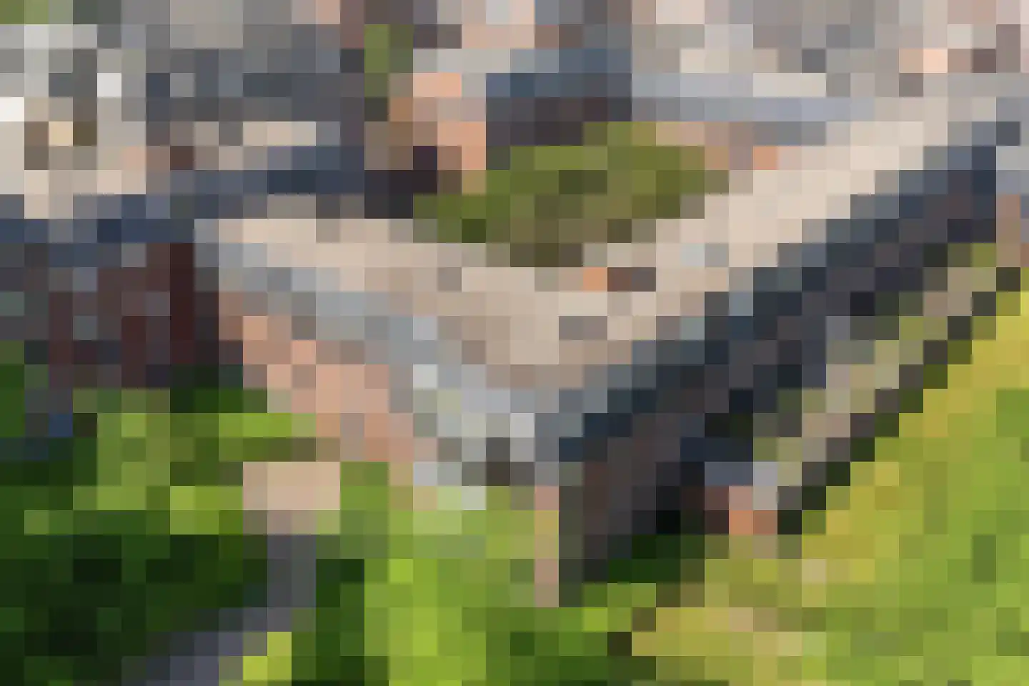 Bassecour 87 Wageningen thumbnail 51