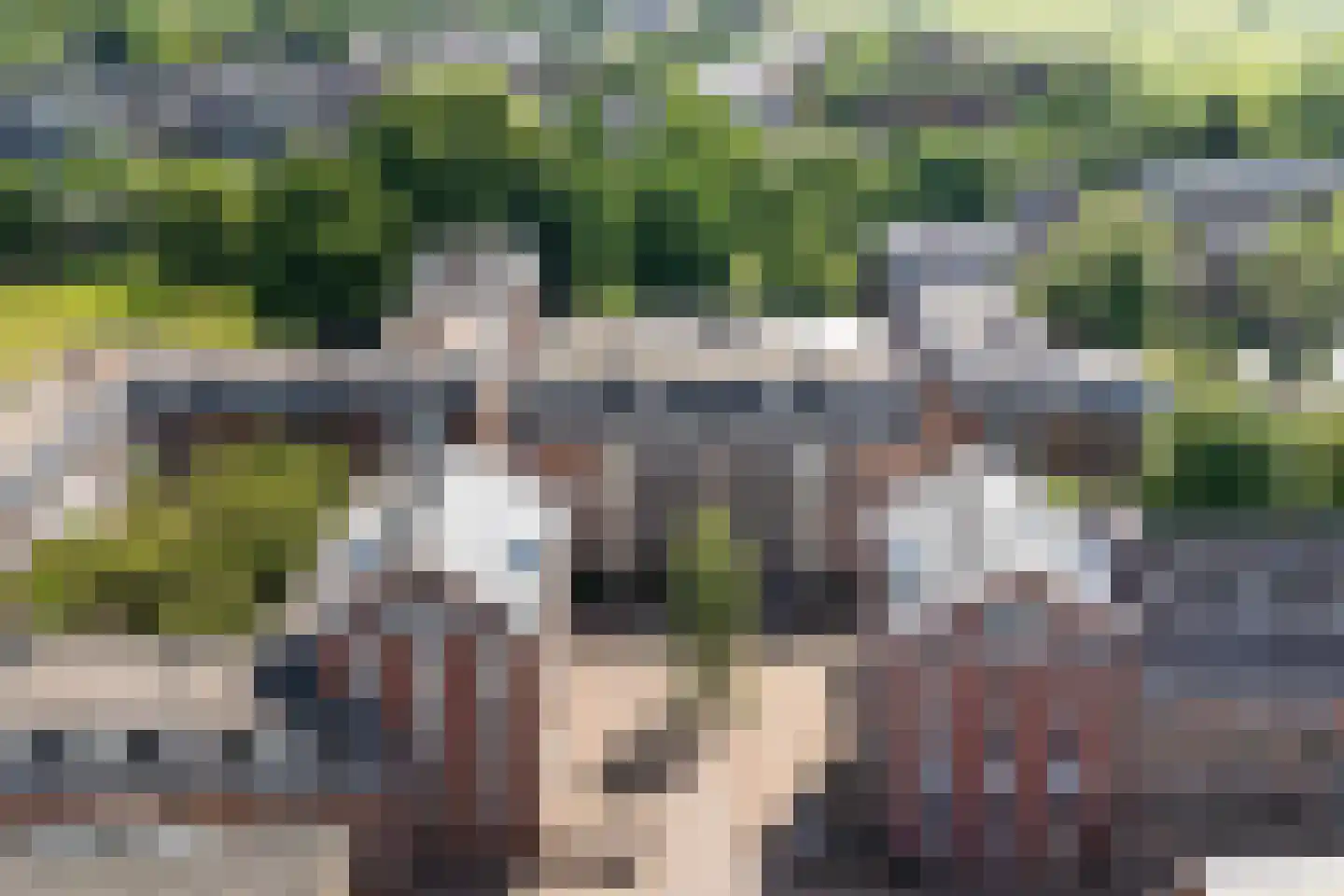 Bassecour 87 Wageningen thumbnail 52