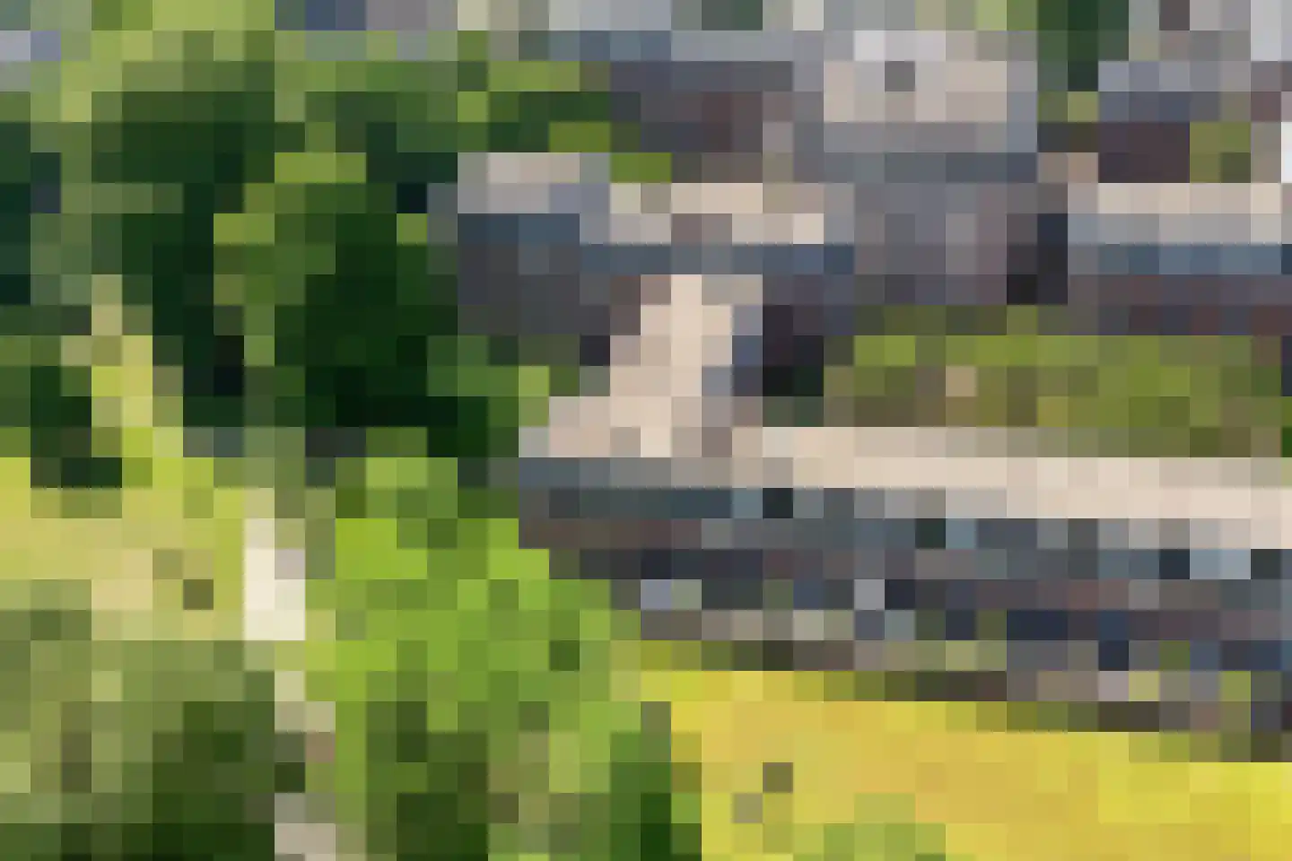 Bassecour 87 Wageningen thumbnail 54