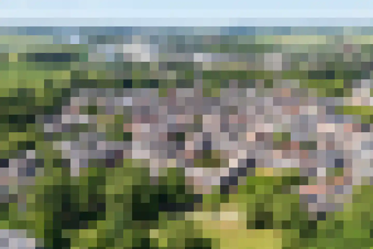 Bassecour 87 Wageningen thumbnail 55