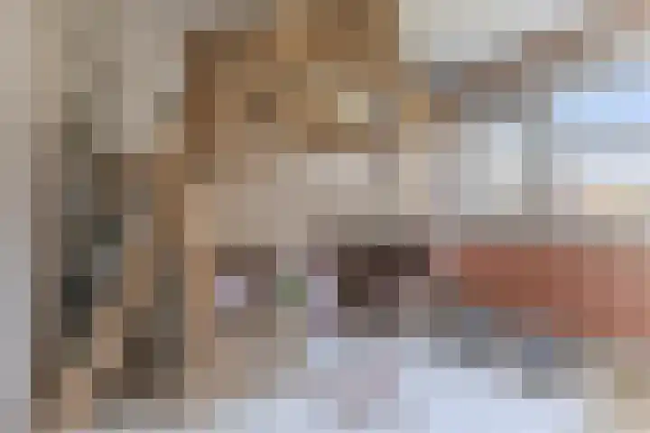 Bassein 22 Wormer thumbnail 14