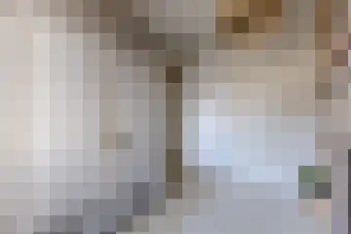 Bassein 22 Wormer thumbnail 15