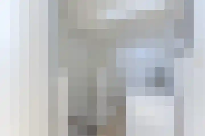 Bassein 22 Wormer thumbnail 22