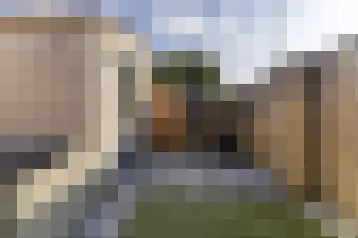 Bassein 22 Wormer thumbnail 26