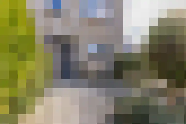 Bassein 22 Wormer thumbnail 29