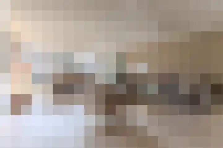 Bassein 22 Wormer thumbnail 4
