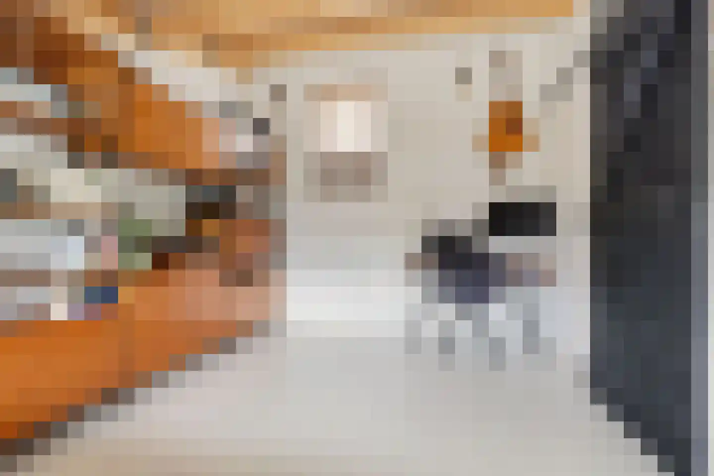 Bassein 40 Wormer thumbnail 27