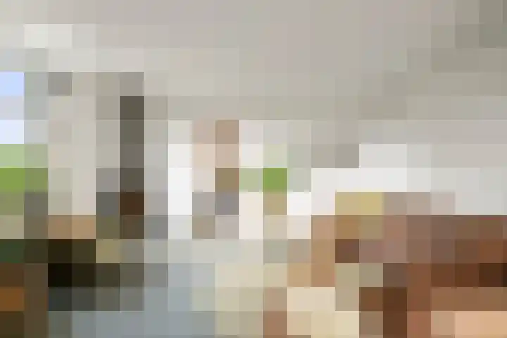Basseltlaan 11 Twello thumbnail 10