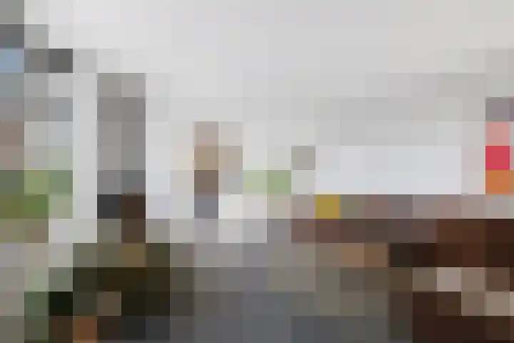 Basseltlaan 11 Twello thumbnail 11