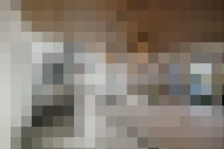 Basseltlaan 11 Twello thumbnail 13