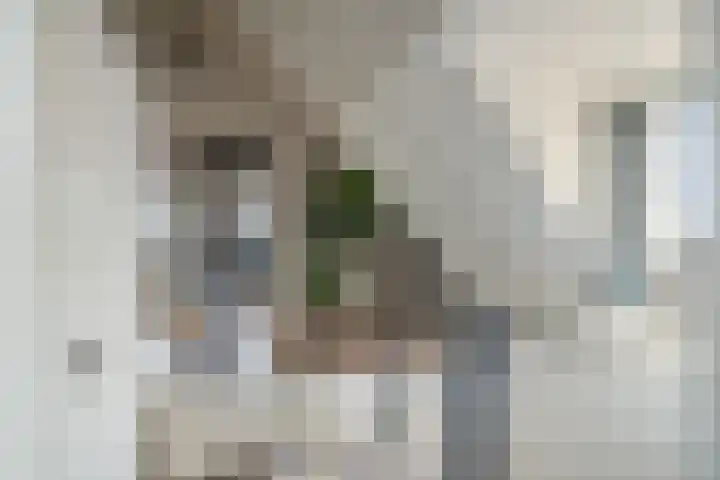 Basseltlaan 11 Twello thumbnail 17