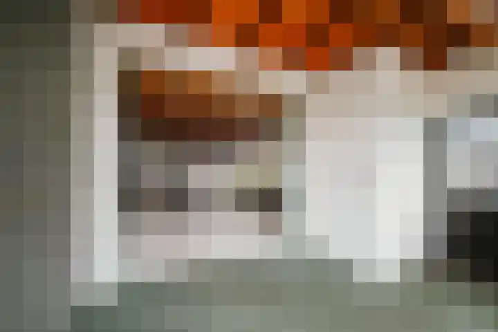 Basseltlaan 11 Twello thumbnail 35
