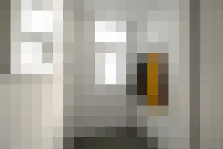 Basseltlaan 11 Twello thumbnail 4