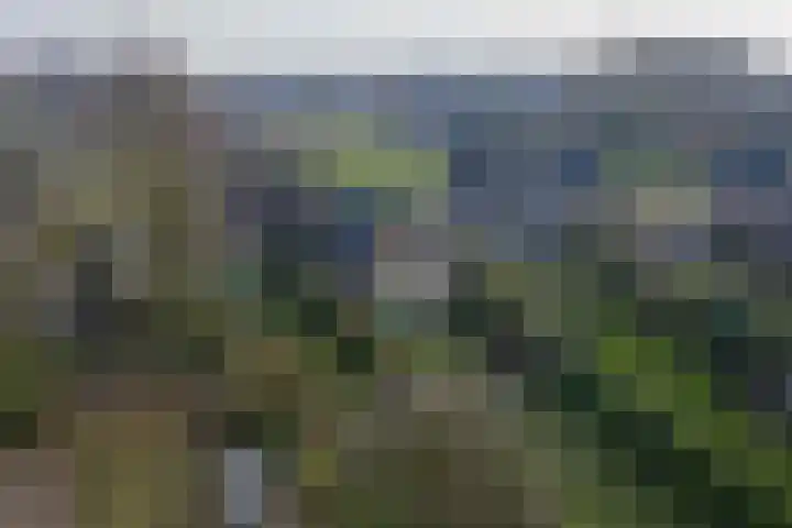 Basseltlaan 11 Twello thumbnail 40