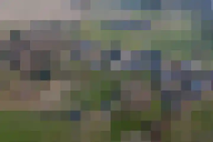 Basseltlaan 11 Twello thumbnail 41