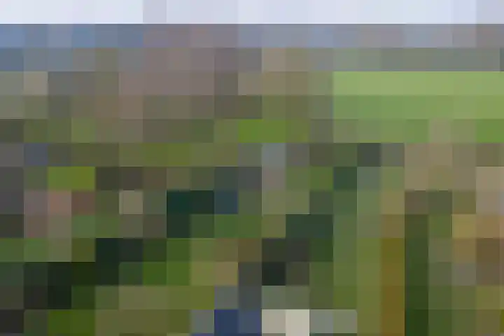 Basseltlaan 11 Twello thumbnail 46