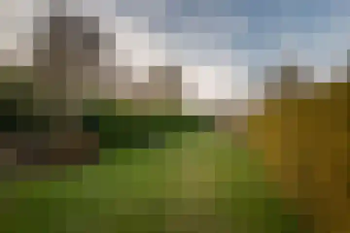 Basseltlaan 11 Twello thumbnail 47