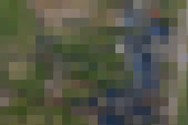 Basseltlaan 11 Twello thumbnail 50