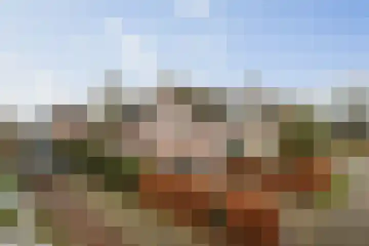 Basseltlaan 11 Twello thumbnail 55