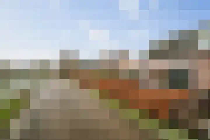 Basseltlaan 11 Twello thumbnail 56