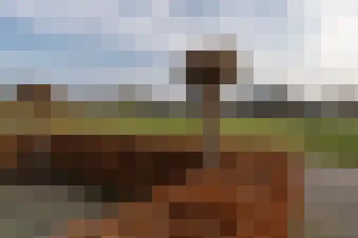 Basseltlaan 11 Twello thumbnail 57