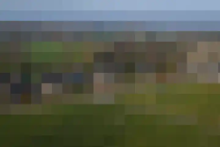 Basseltlaan 11 Twello thumbnail 58