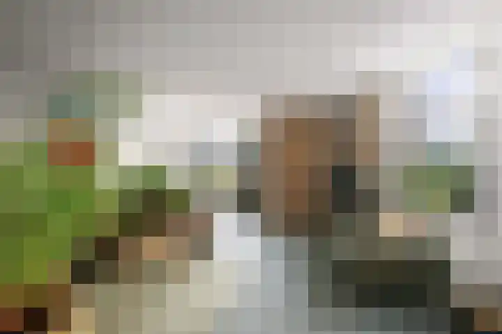 Basseltlaan 11 Twello thumbnail 6