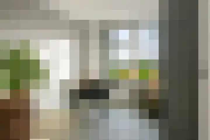 Basseltlaan 11 Twello thumbnail 8