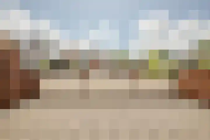 Basserhof 14 Heerhugowaard thumbnail 28