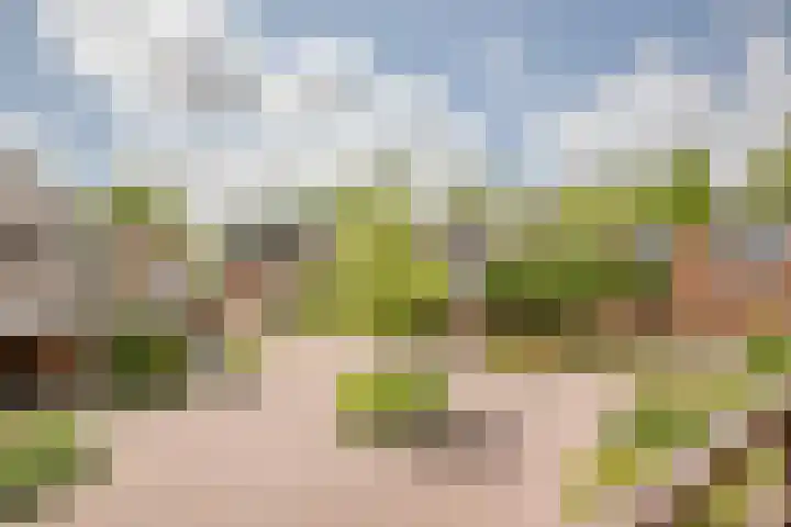 Basserhof 14 Heerhugowaard thumbnail 29