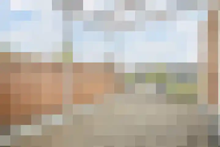 Basserhof 14 Heerhugowaard thumbnail 42
