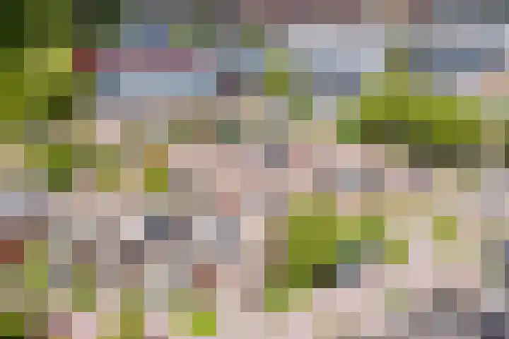 Basserhof 14 Heerhugowaard thumbnail 48