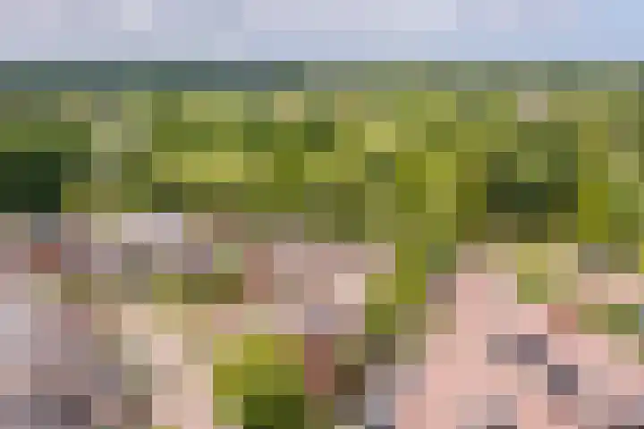 Basserhof 14 Heerhugowaard thumbnail 49